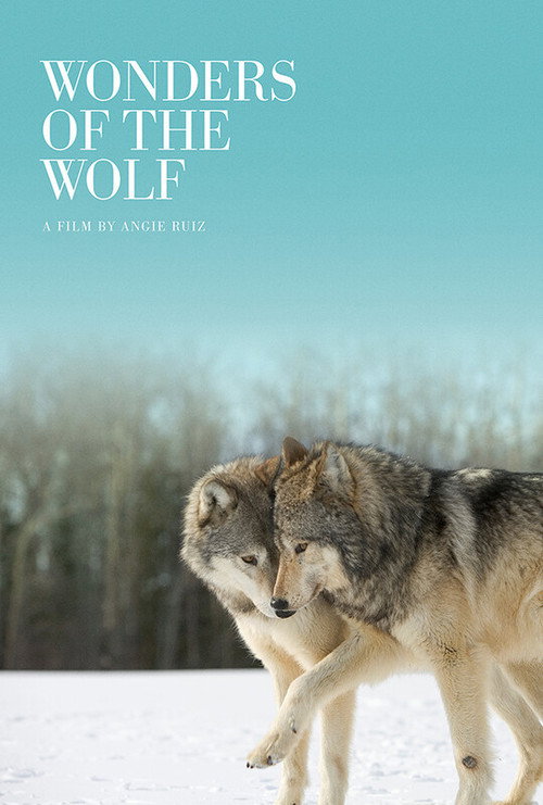 Wonders of the Wolf (2024) movie poster