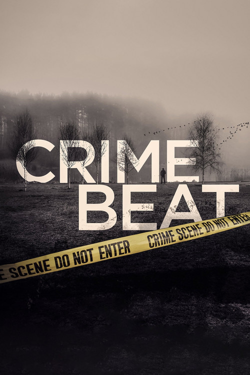 Crime Beat (2020) TV show poster