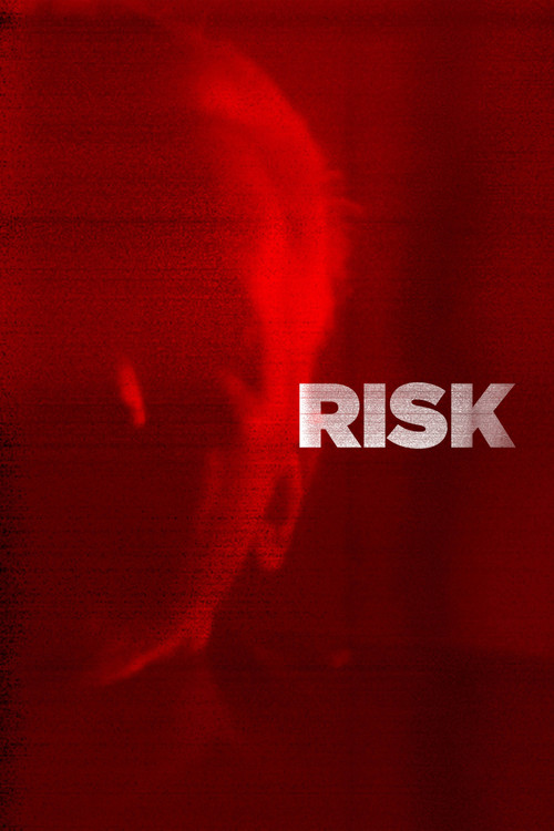 Risk (2017) movie poster