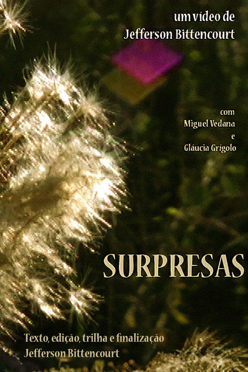 Surpresas (2009) movie poster