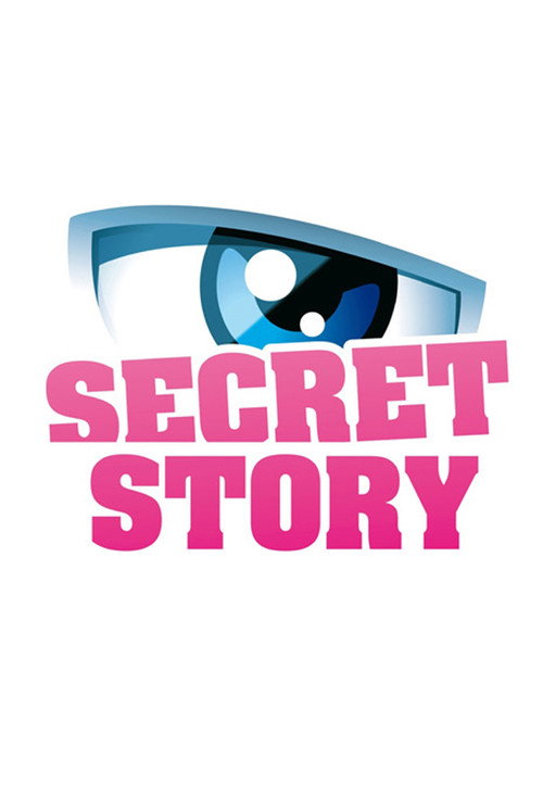 Secret Story (2011) TV show poster