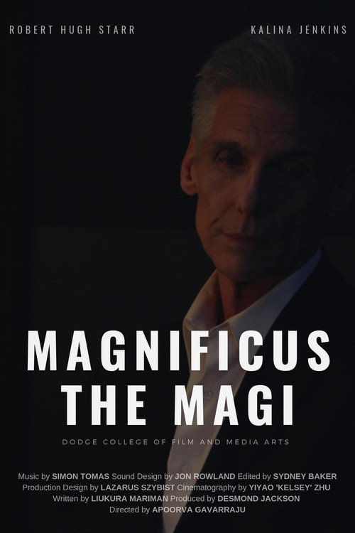 Magnificus the Magi (2019) movie poster