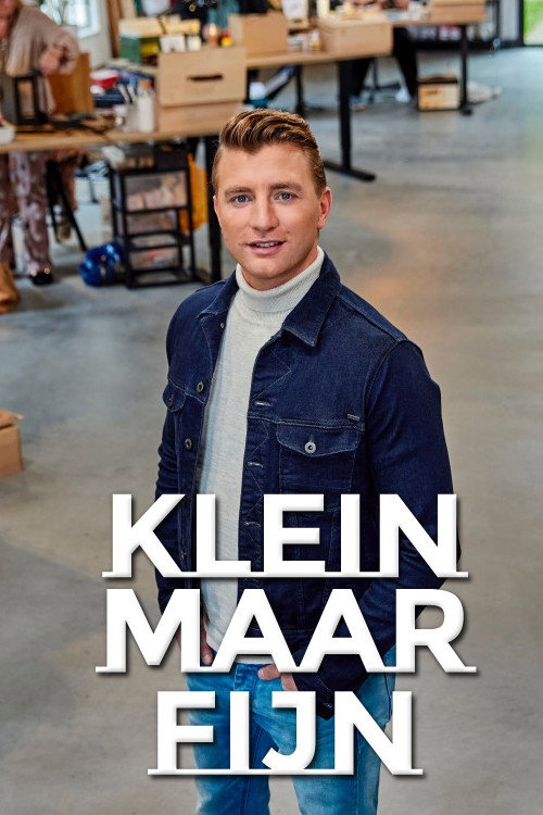 Klein maar fijn (2020) TV show poster
