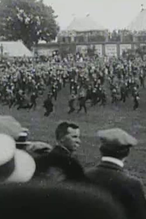 The Derby (1913) movie poster