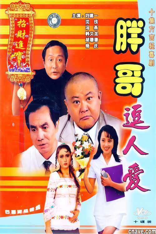 胖哥逗人爱 (1995) TV show poster