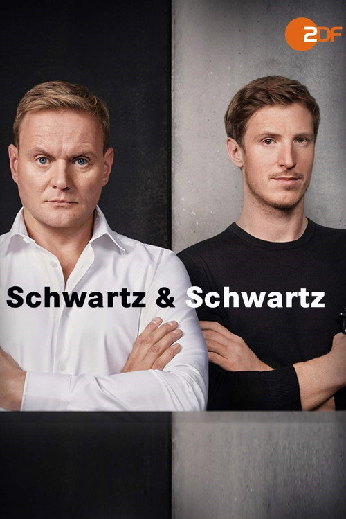 Schwartz & Schwartz (2018) TV show poster