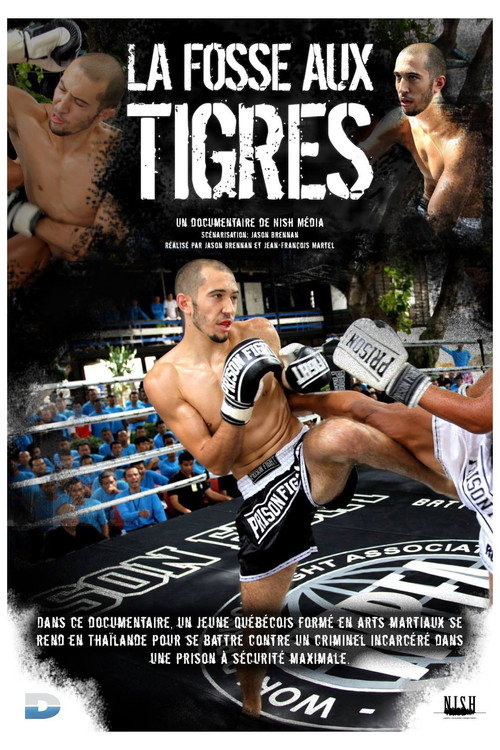 The Tiger's Den (2017) movie poster