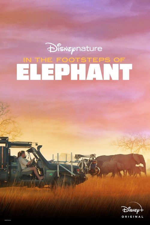 In the Footsteps of Elephant (2020) movie poster