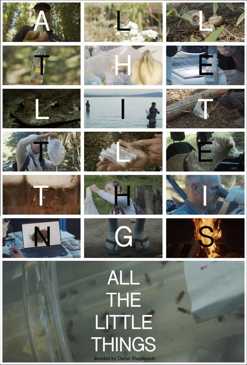 All the Little Things (2024) movie poster