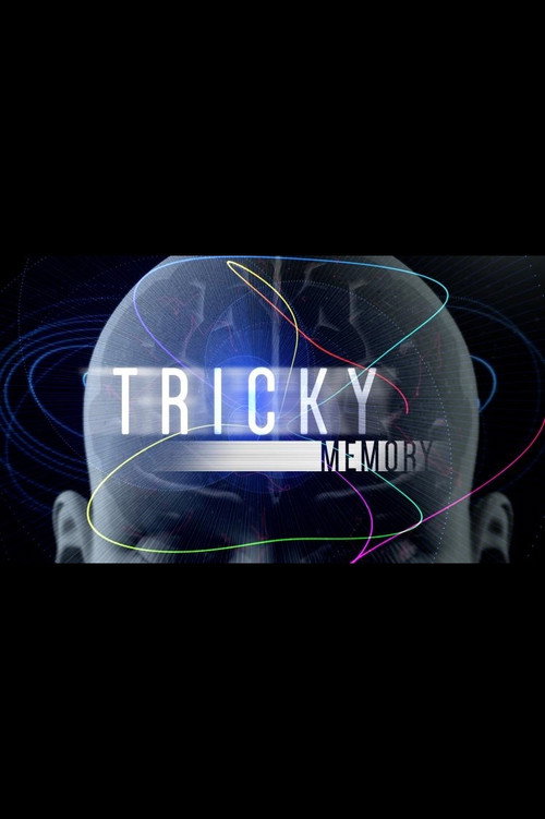 Tricky Memory (2016) movie poster