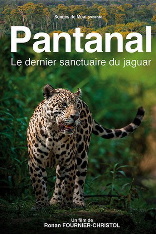 Pantanal, le dernier sanctuaire du jaguar (2010) movie poster