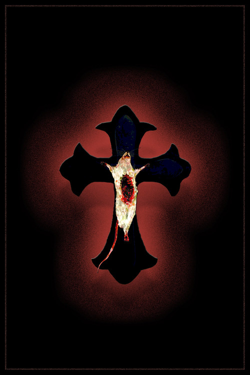 Fungi (2022) movie poster