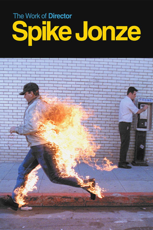 The Work of Director Spike Jonze (2003) movie poster