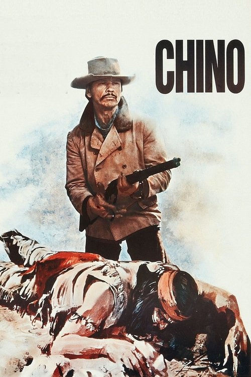 The Valdez Horses (1973) movie poster