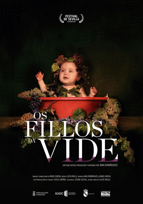 Os fillos da vide (2017) movie poster