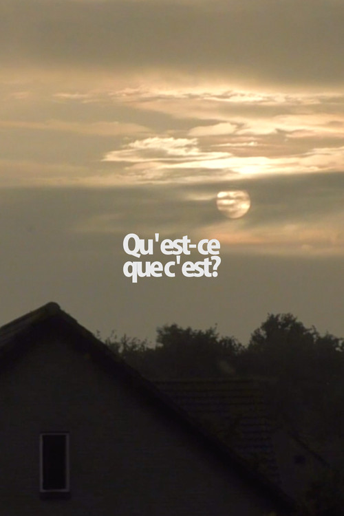 Qu'est-ce que c'est? (2016) movie poster