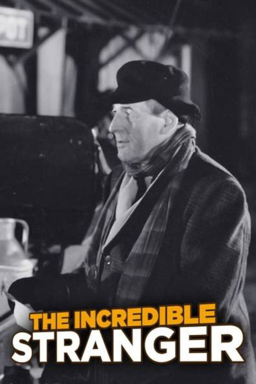 The Incredible Stranger (1942) movie poster
