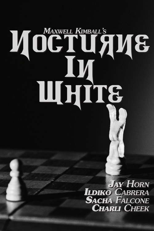 Nocturne in White (2026) movie poster