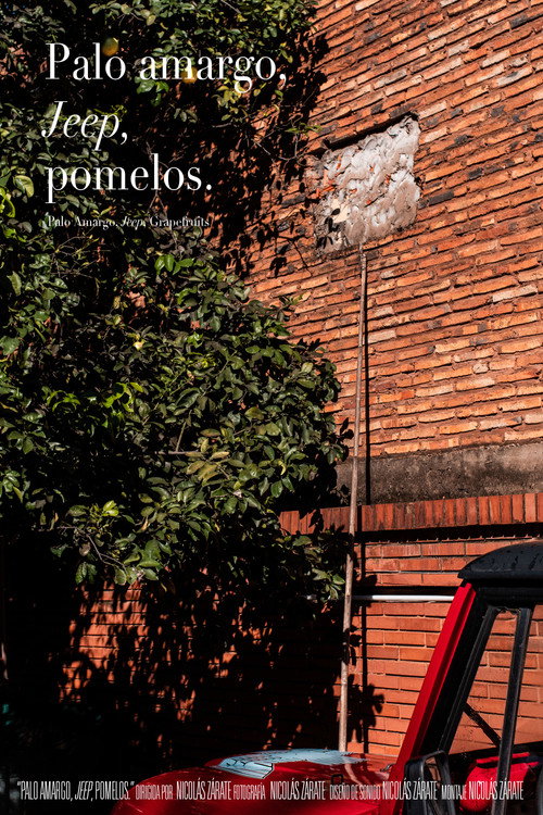 Palo Amargo, Jeep, Grapefruits (2020) movie poster