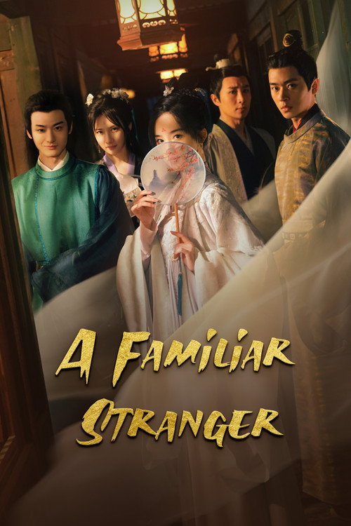 A Familiar Stranger (2022) TV show poster