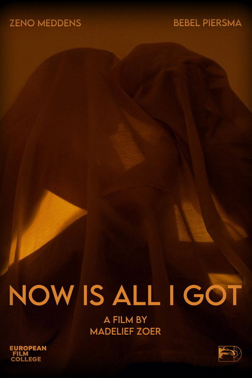 Now Is All I Got (2025) movie poster
