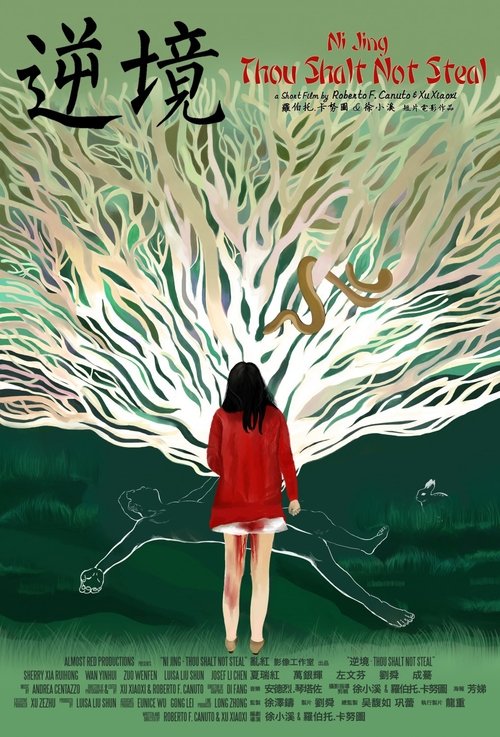 Ni Jing: Thou Shalt Not Steal (2013) movie poster