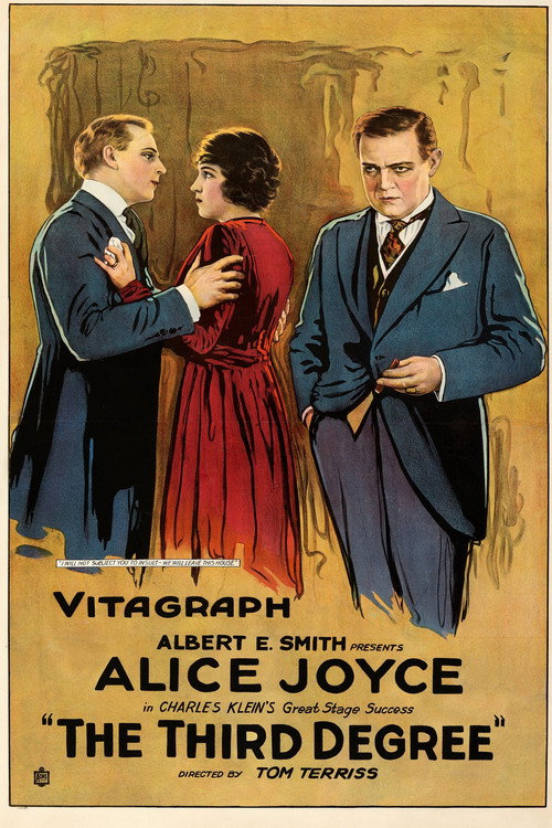 The Third Degree (1919) movie poster