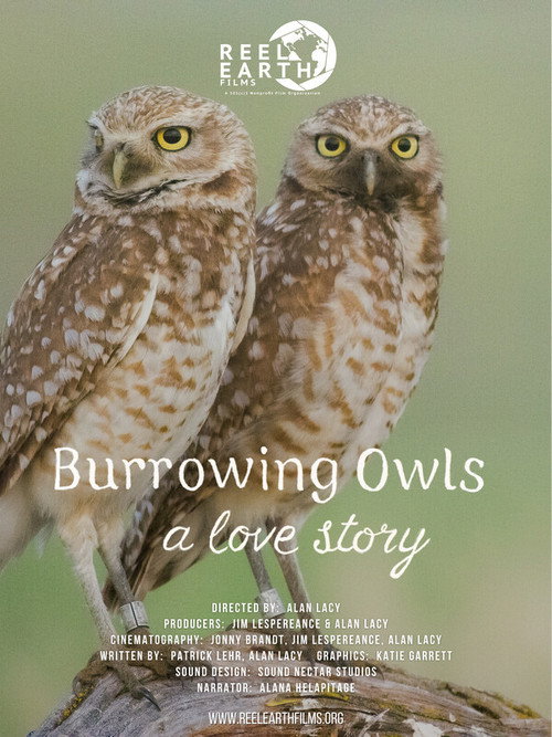 Burrowing Owls: A Love Story (2025) movie poster