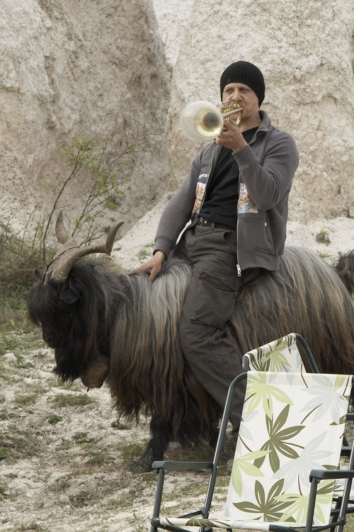 The Goat (2009) movie poster