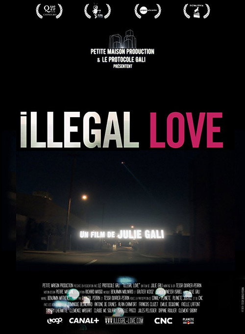 Illegal Love (2011) movie poster
