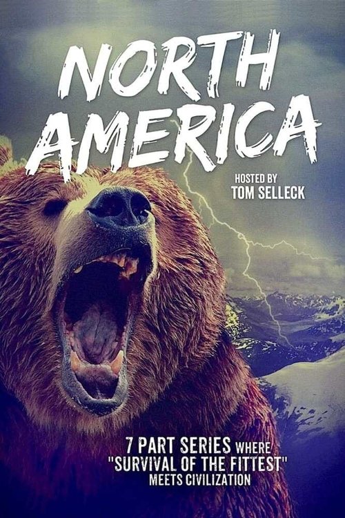 North America (2013) TV show poster