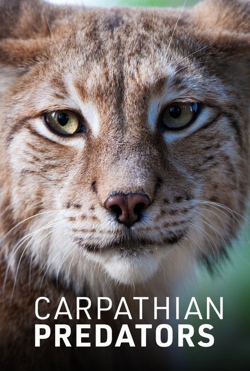 Carpathian Predators (2019) TV show poster