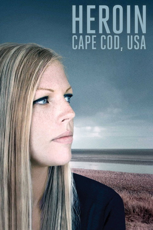 Heroin: Cape Cod, USA (2015) movie poster