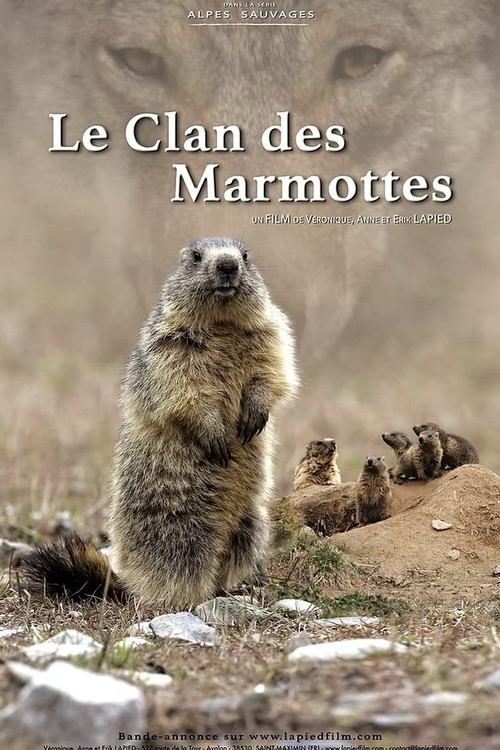 A Marmot's Life (2021) movie poster