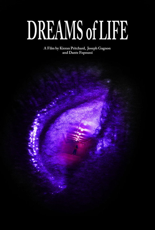Dreams of Life (2026) movie poster