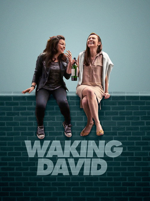 Waking David (2016) movie poster