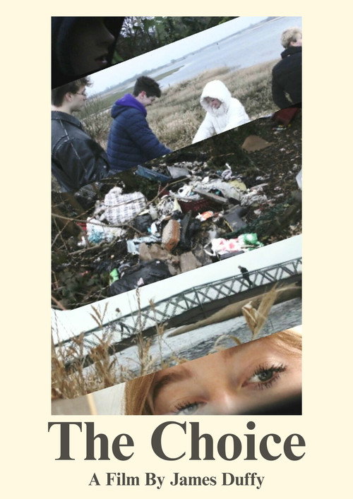 The Choice: Illegal Dumping movie poster