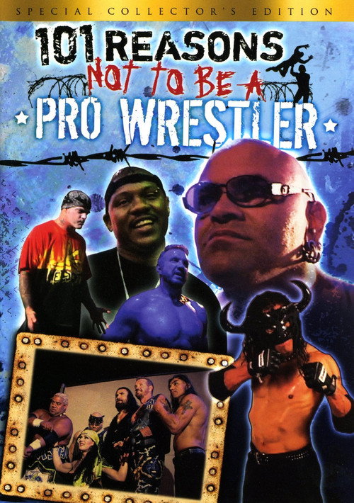 101 Reasons Not To Be A Pro Wrestler (2005) movie poster