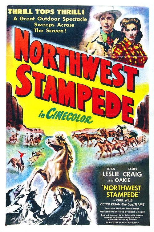 Northwest Stampede (1948) movie poster