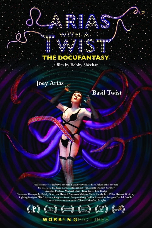 Arias With a Twist (2010) movie poster