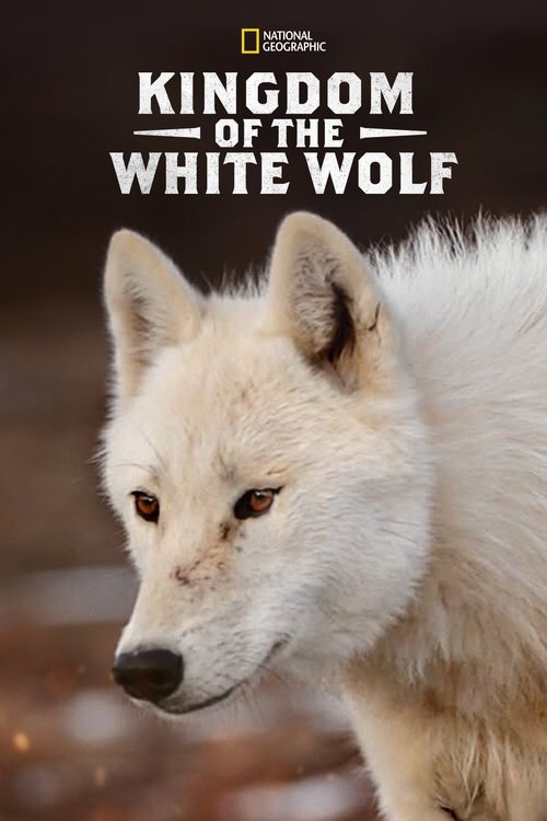 Kingdom of the White Wolf (2019) TV show poster