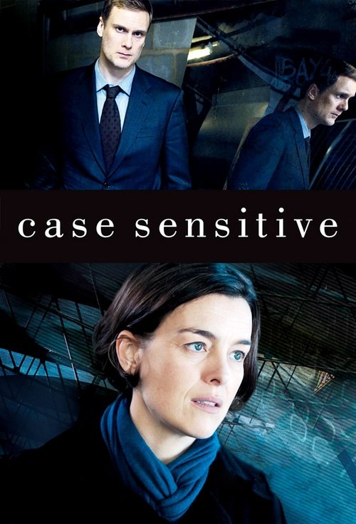 Case Sensitive (2011) TV show poster