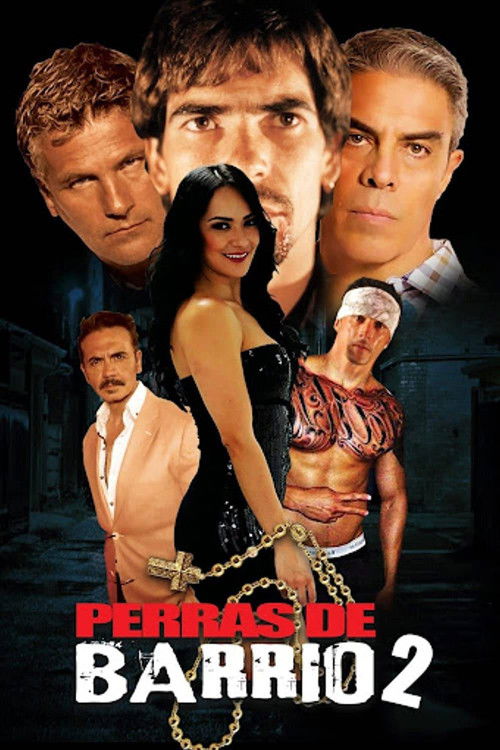 Perras de barrio 2 (2017) movie poster