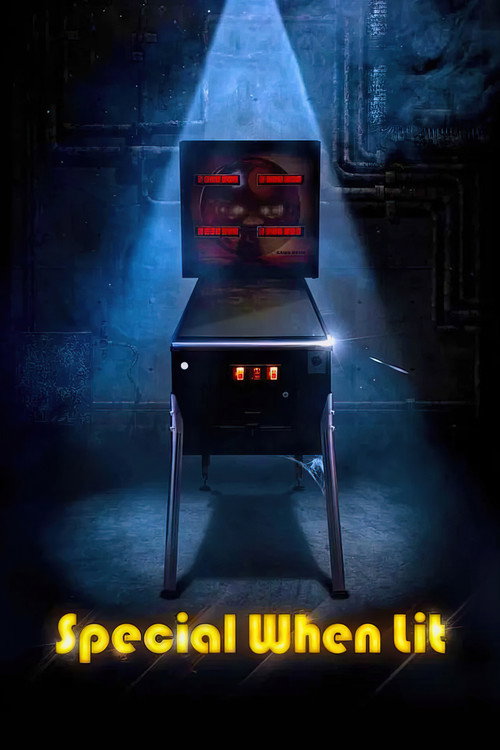 Special When Lit (2009) movie poster
