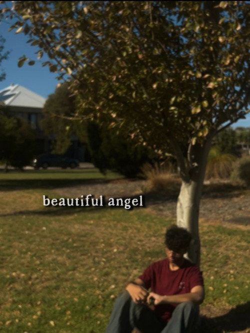 beautiful angel (2026) movie poster