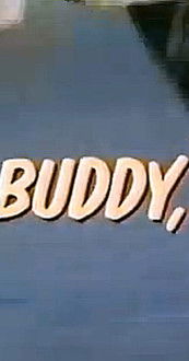 Run, Buddy, Run (1966) TV show poster