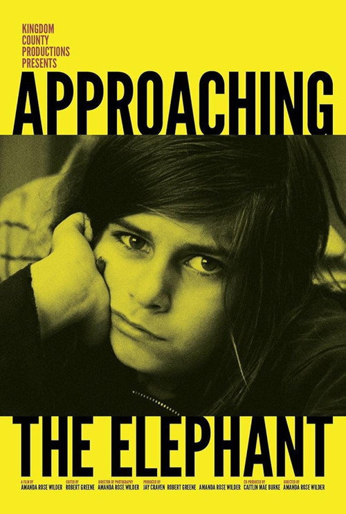 Approaching the Elephant (2015) movie poster