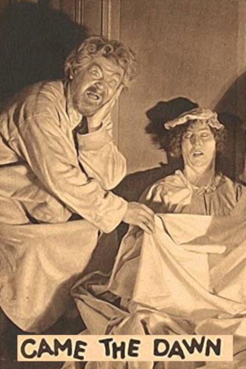 Came the Dawn (1928) movie poster