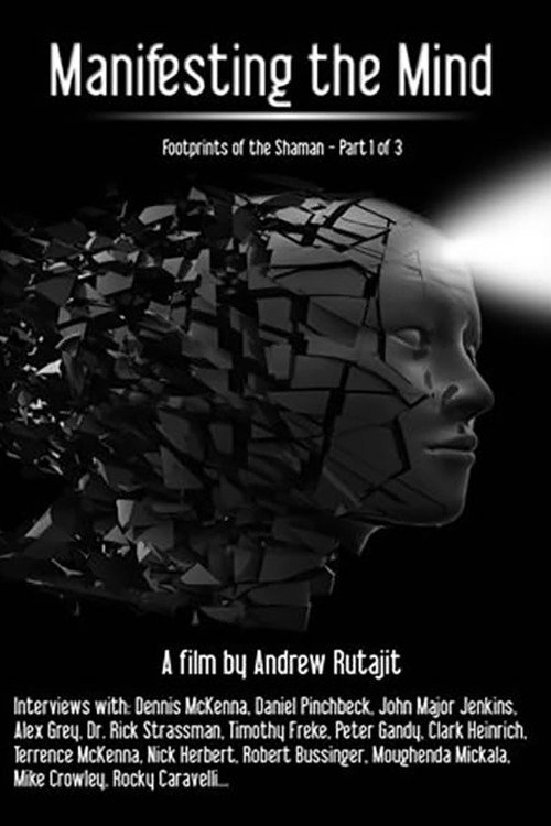 Manifesting the Mind: Footprints of the Shaman (2009) movie poster
