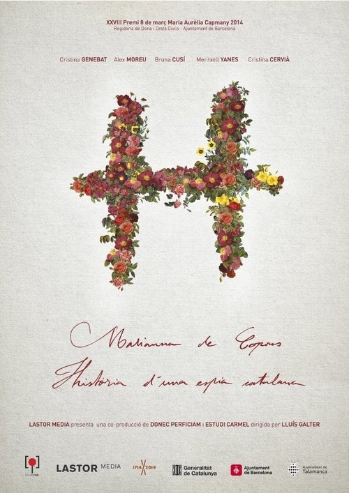 H (2014) movie poster